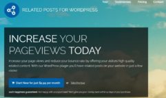 Related posts for wordpress что это