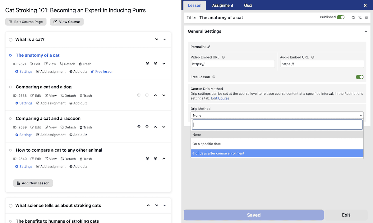 The Lesson Options pop-out dialog within LifterLMS.